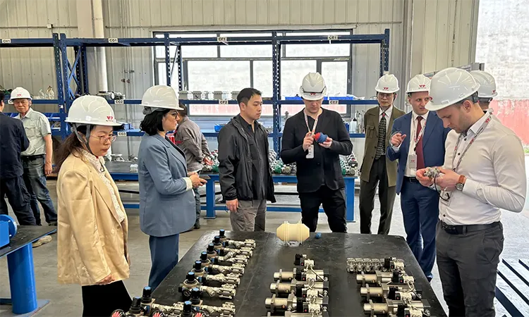 孙霞总监带客户参观VP工厂